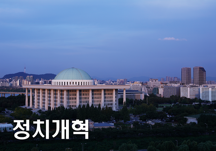 정치개혁